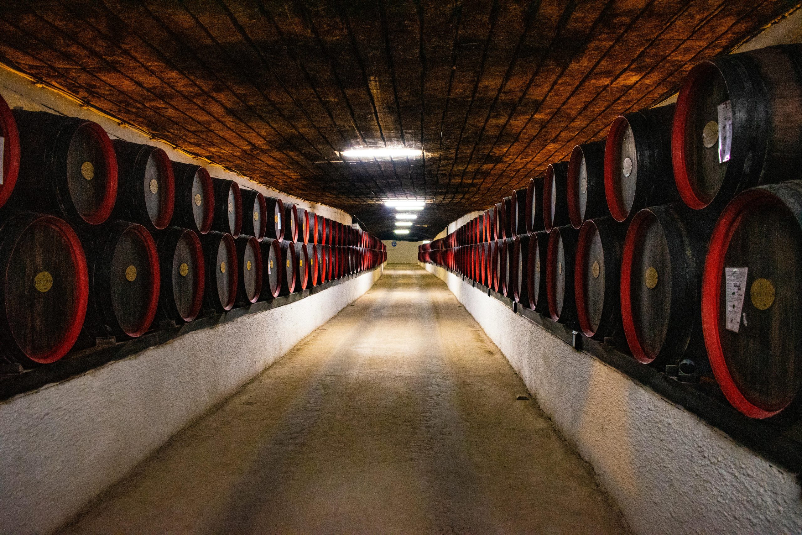 Barrels Stored in a Winery in Willamette Valley. A MiscGyan client. Image has been used in a MiscGyan Blog explaining wine marketing strategies.