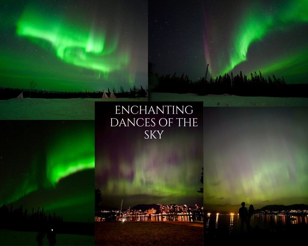 Aurora’s Borealis Mesmerizing Dance