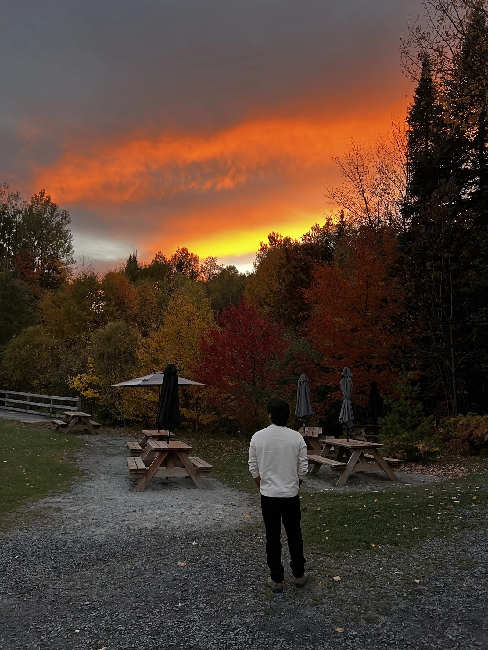 Rachit facing an autumn sunset over golden treetops